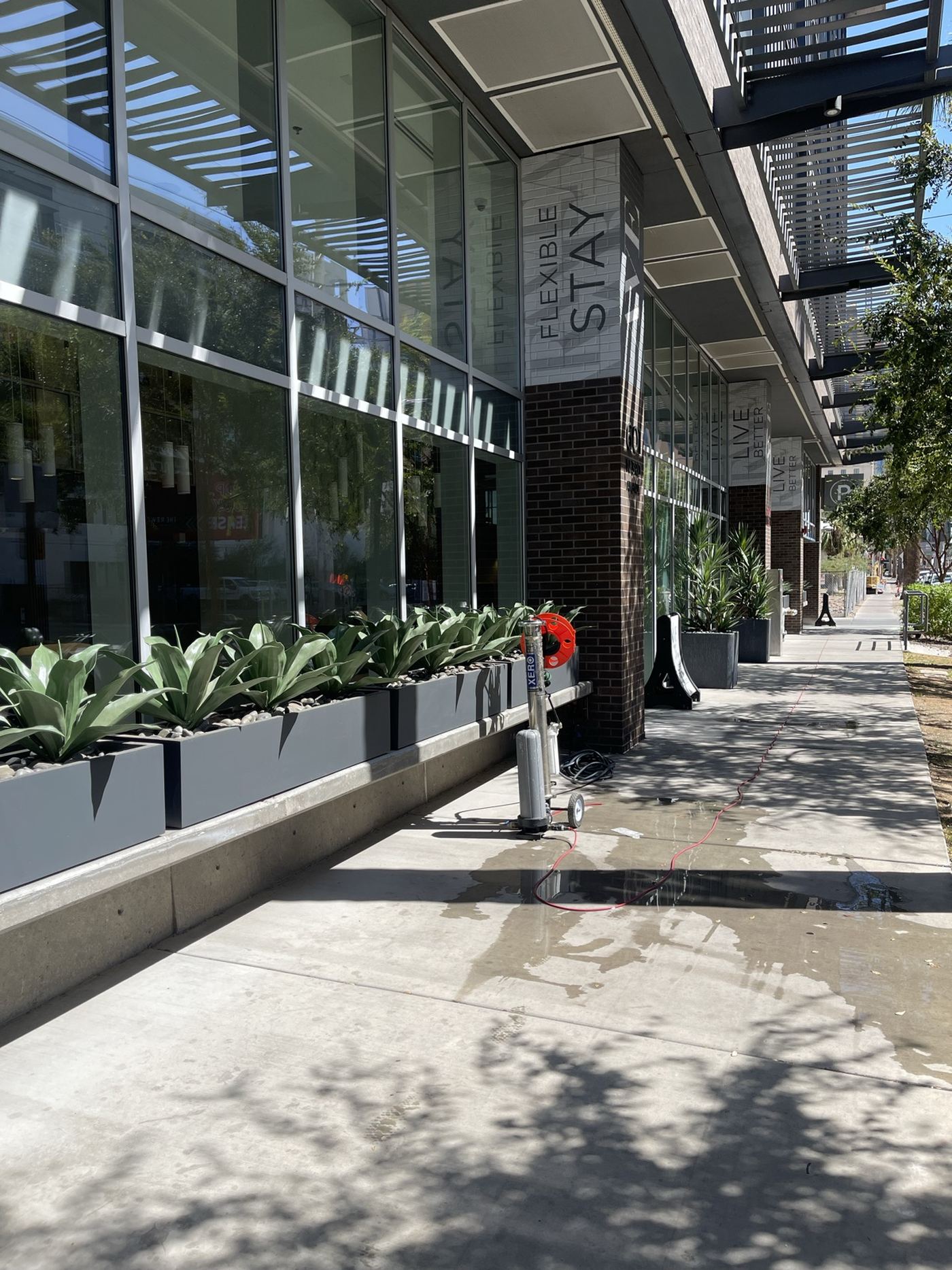 Freshly cleaned storefront glass along a commercial walkway in Phoenix